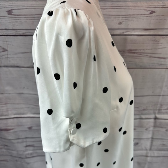 NWT RW&CO. White & Blue Polka Dot Shirt - M - Picture 3 of 7